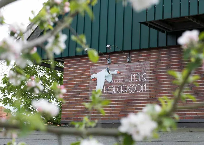 Nils Holgersson - 2